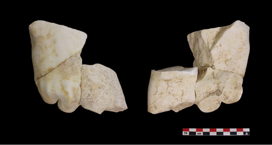 Imagen en blanco y negro

Descripción generada automáticamente con confianza baja