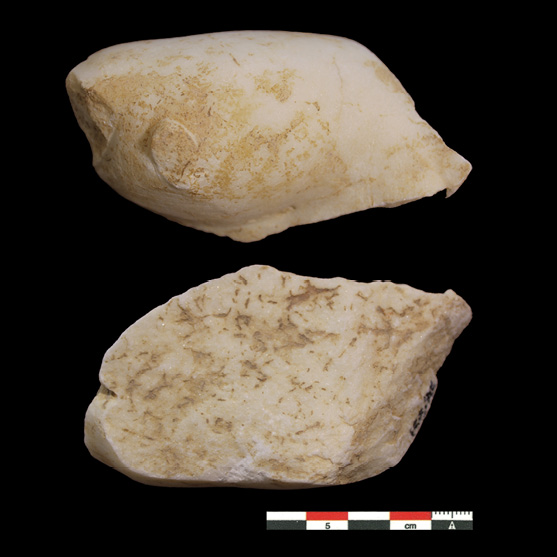 Imagen en blanco y negro

Descripción generada automáticamente con confianza baja