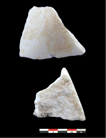 Imagen que contiene animal, moluscos, comida, tabla

Descripción generada automáticamente