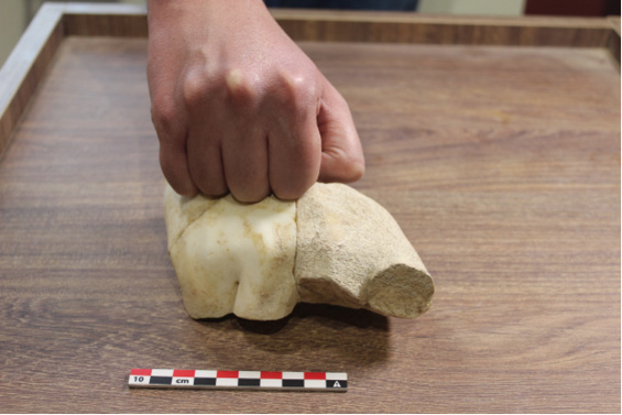 Imagen que contiene interior, persona, tabla, hecho de madera

Descripción generada automáticamente