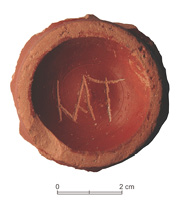 Imagen que contiene alimentos, naranja, ladrillo

Descripción generada automáticamente