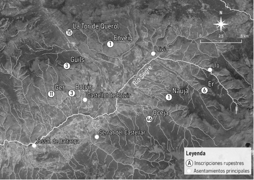 Jack Lambert Veleia Fig. 1